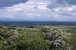 A view of the countryside in Ireland