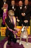 American Kennel Club