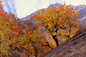 Autumn in Village Kachura (Skardu, Pakistan)