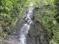 Bamboo Forest Waterfall I