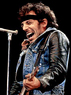 BruceSpringsteen.com