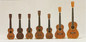 C.F. Martin & Co.