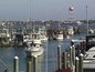 Cape May