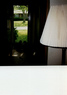 Cats looking out Pleasantville door