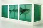 Damien Hirst