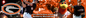 Delmarva Shorebirds