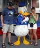 Donald Duck