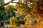 Dubbo