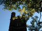 Princeton University