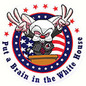Brain in the White House