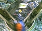 Genesis Inside