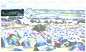 Glastonbury | Weblo.com