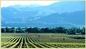 Great Central Valley