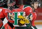 Halifax Mooseheads
