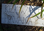 Havana Daydreamin\' ? Yes I am... and with Flickr 