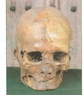 Head of Simon