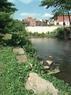 Jonesville
