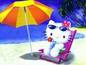 Kitty on the beach