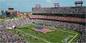LP Field