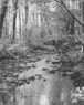 Little Meadow Creek