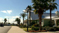 MALLORY HILL COUNTRY CLUB IN THE VILLAGES FL.- DEC