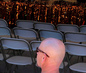 Mr. Clean . . .