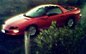 luvmyredcamaro