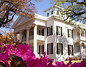 Natchez