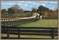 Ocala Fences