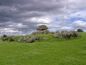 One of the stone age passage tombs at Carrowmore