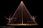 Chrsitmas tree of Lights