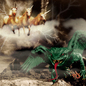 Fantasy Art 01