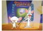 Pinky and the Brain
