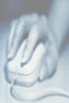 PointNClick.com