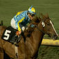 Horse Racing