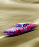 Richard Petty