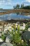 SMITHS COVE 
