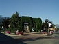 Salmon Arm