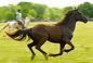 San Antonio de Areco III