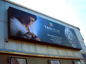Shahrukh\'s time