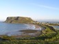 Stanley Harbor Nut