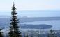 Stanley Park as seen from WestVan