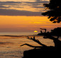 Sunset - 17 Mile Drive