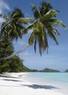 IslandVacations.com