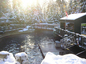 Vancouver Aquarium