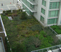 Victoria BC Marriott Green Roof