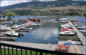 View of Marina from room decks