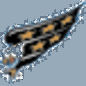 Washington Capitals