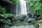 falls