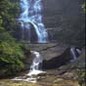 therainforestsite.com
